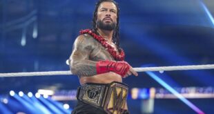 popular-celebrity-jokes-about-wanting-the-undisputed-wwe-title-from-roman-reigns