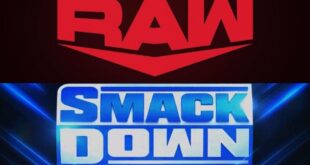 major-wwe-star-traded-from-raw-to-smackdown