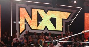 top-international-star-spotted-at-wwe-nxt