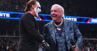 sting-reacts-to-ric-flair’s-surprise-aew-dynamite-debut