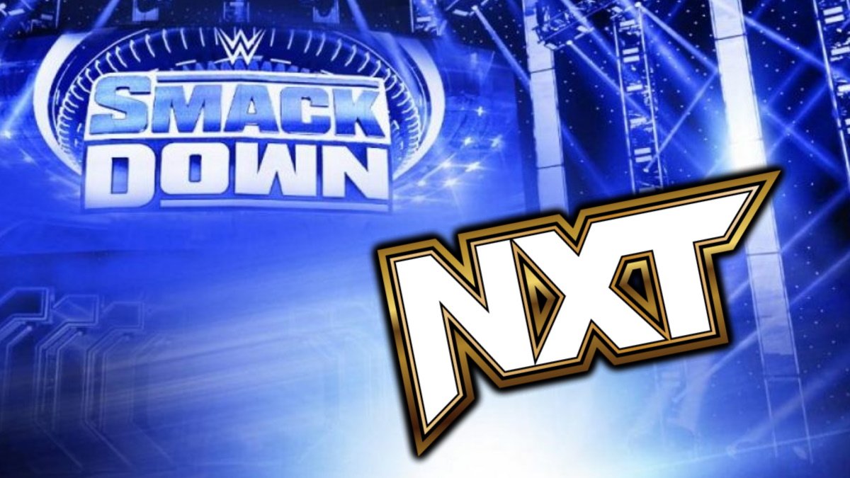 WWE NXT Star Makes SmackDown In-Ring Debut
