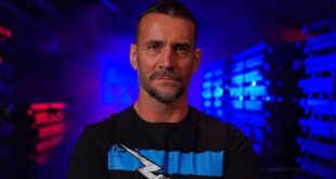 update-on-cm-punk-non-wwe-role