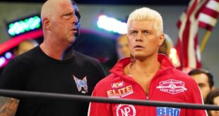 aew-name-believes-wwe-&-aew-should-work-together-for-dustin-rhodes-to-join-cody-rhodes-wrestlemania-story