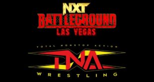 another-tna-wrestling-star-appears-at-wwe-nxt-battleground