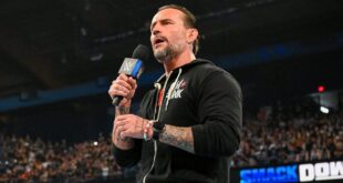 top-wwe-star-shares-meme-referencing-cm-punk’s-aew-departure
