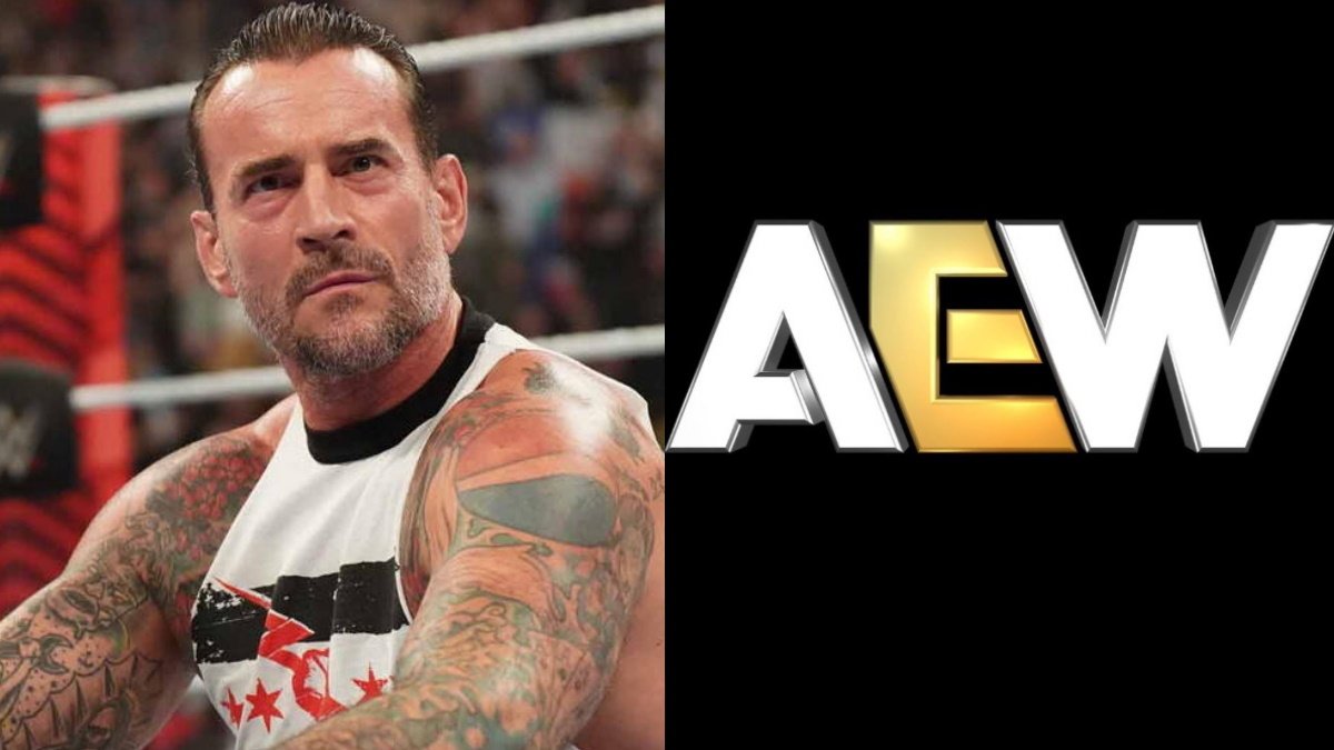 AEW Name Wishes CM Punk Was Still With AEW
